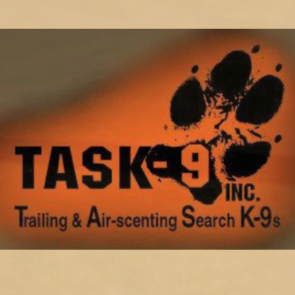 TASK-9