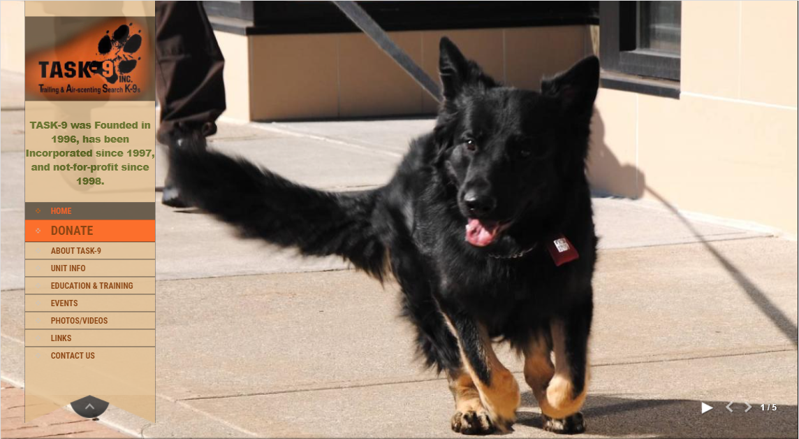 screenshot of task-9.org